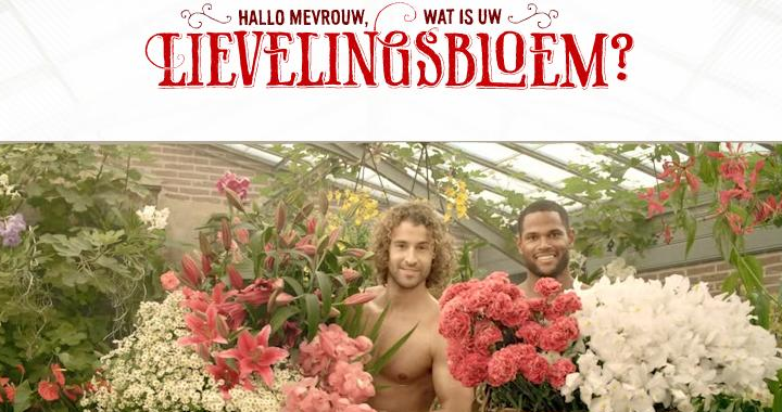 De Lievelingbloem van NL