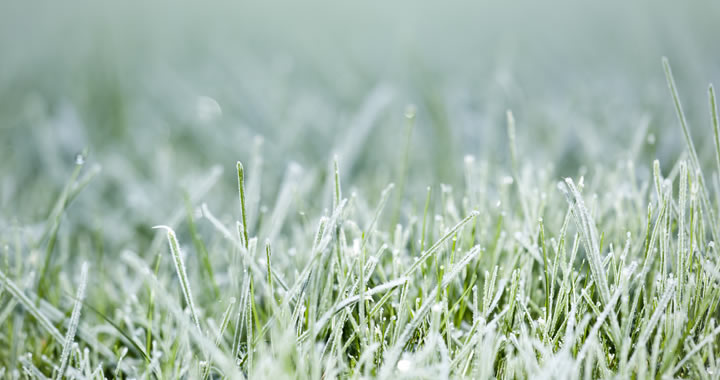 Tuinonderhoud februari