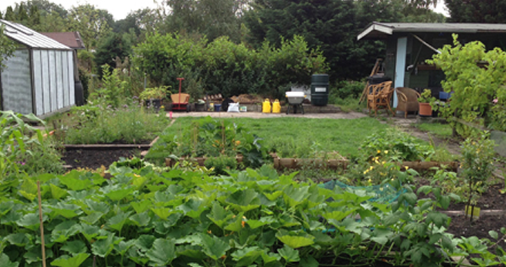 Tuinieren zonder tuin