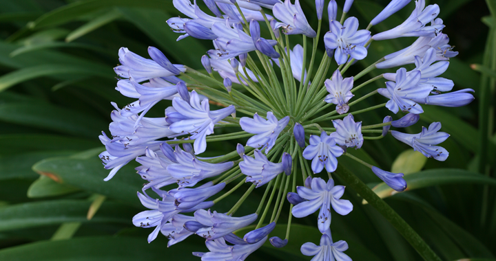 Tuin onderhoud november