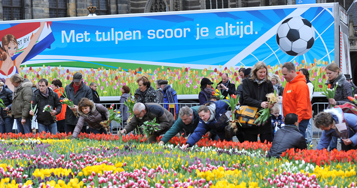 Nationale Tulpendag start nieuw seizoen