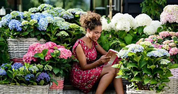 Tuinplant van de maand juli