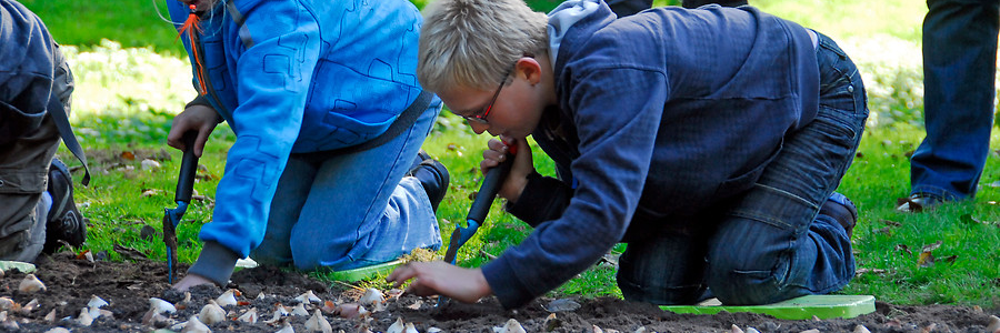 Waarom is het goed om samen met kinderen bloembollen te planten?