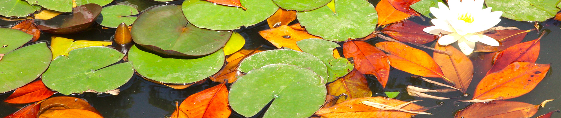 Onderhoud oktober